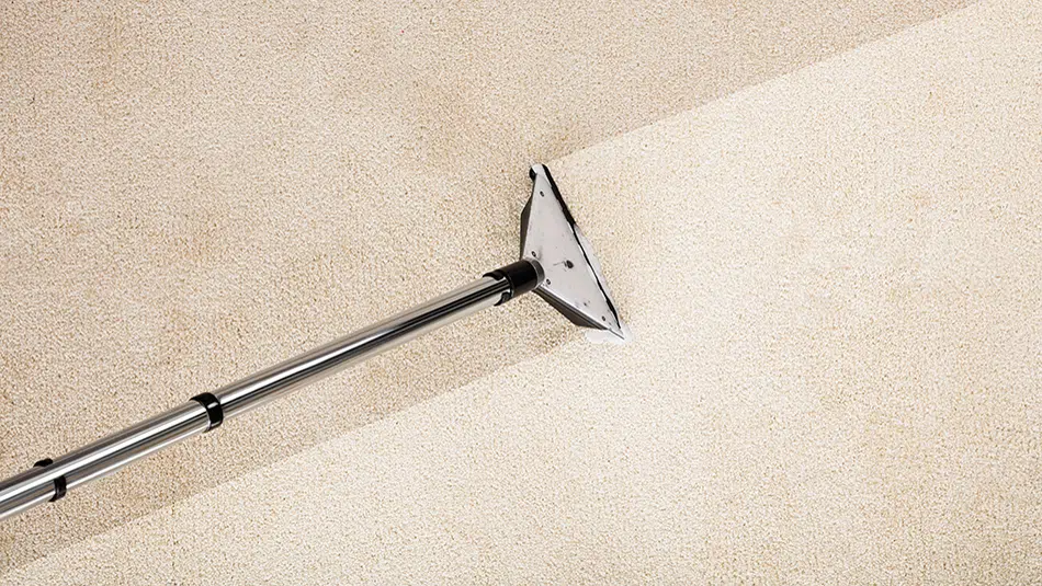 Master Clean NY Carpet Cleaning